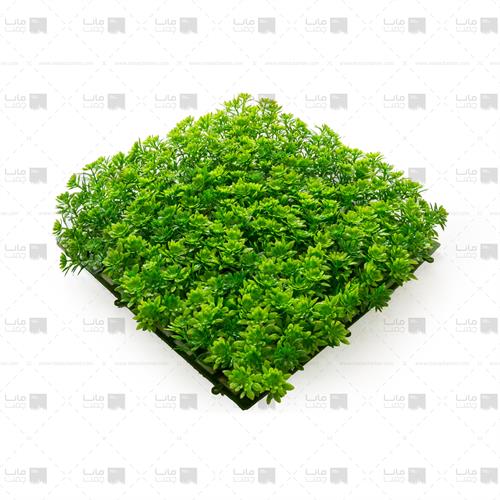 دیوار سبز خورشیدی-سبز 4