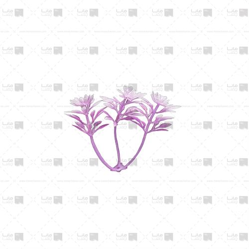 دیوار سبز مصنوعی مدل خورشیدی رنگ بنفش روشن و سفید 3