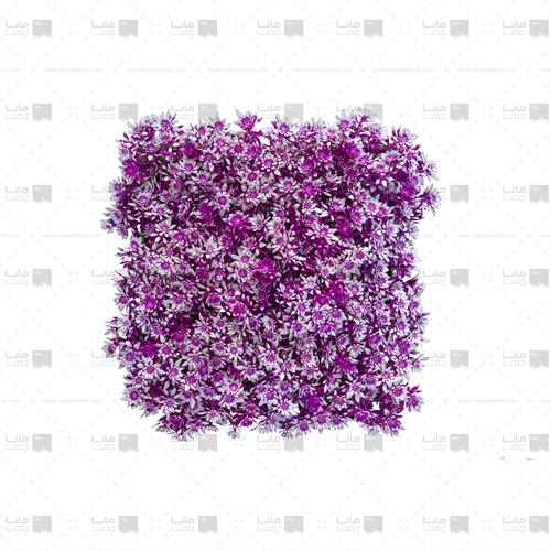 دیوار سبز مصنوعی مدل خورشیدی رنگ بنفش و سفید