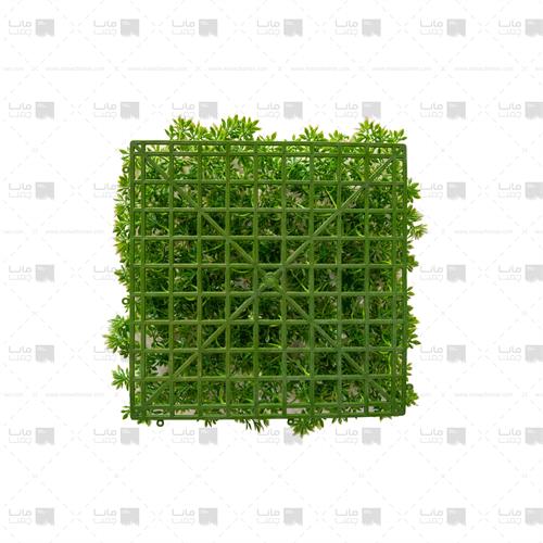 دیوار سبز خورشیدی رنگ سبز، سفید 2