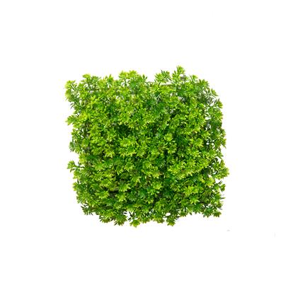 دیوار سبز مصنوعی مدل خورشیدی رنگ سبز