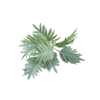 گیاه مصنوعی مدل شامادورا