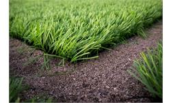 کاشت چمن مصنوعی
