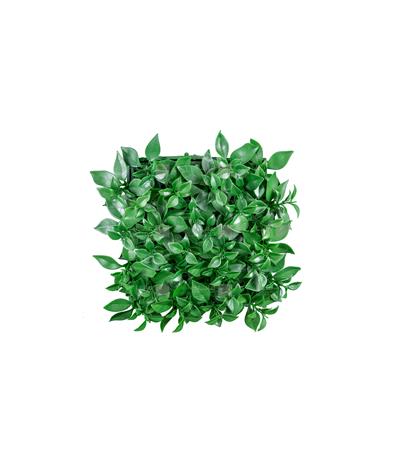 دیوار سبز مصنوعی مدل پرتقالی