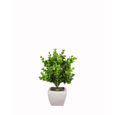 گلدان گل مصنوعی مدل شمشاد سایز متوسط