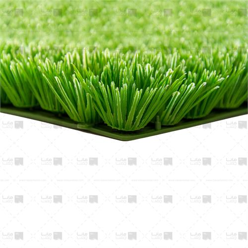 دیوار سبز چمنی 5