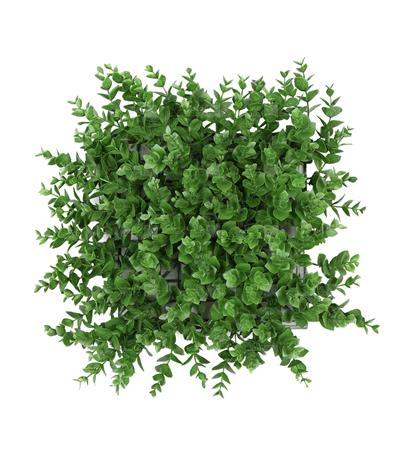 دیوار سبز مصنوعی مدل ویولت