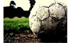 دانستنی های جالب درباره چمن مصنوعی