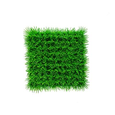 دیوار سبز چمنی ابعاد 25*25