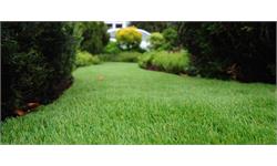 چمن مصنوعی؛ معجزه سبز