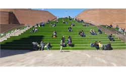 مانا چمن، پیشگام در چمن مصنوعی