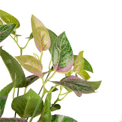 گیاه مصنوعی مدل بوته فیتونیا