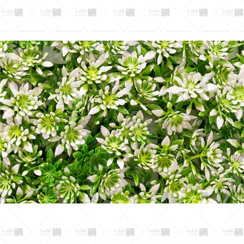 دیوار سبز خورشیدی رنگ سبز، سفید 3