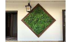 8 مکان ایده آل برای دیوار سبز مصنوعی