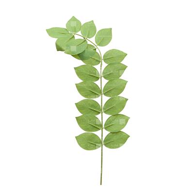 گیاه مصنوعی مدل برگ پرتقال سبز روشن