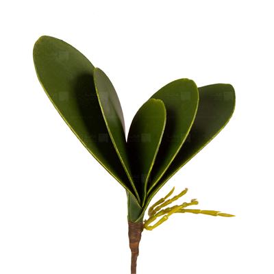 گیاه مصنوعی مدل برگ ارکیده