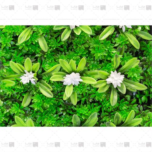 دیوار سبز مصنوعی مدل خورشیدی - آناناسی ابعاد 25*25