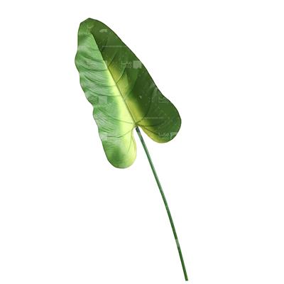 گیاه مصنوعی مدل برگ موز