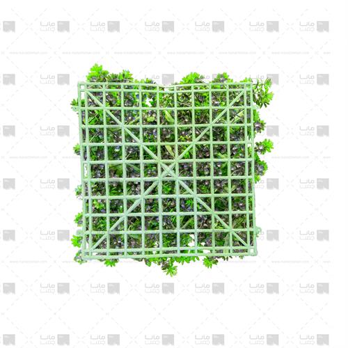 دیوار سبز مصنوعی مدل خورشیدی - آناناسی ابعاد 25*25