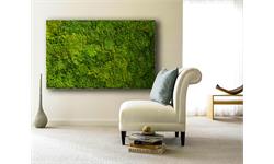 چرا دیوار سبز مصنوعی؟