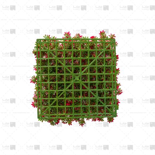 دیوار سبز خورشیدی رنگ قرمز 2