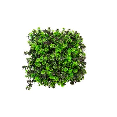 دیوار سبز مصنوعی مدل داوودی