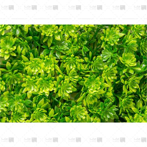 دیوار سبز خورشیدی-سبز3