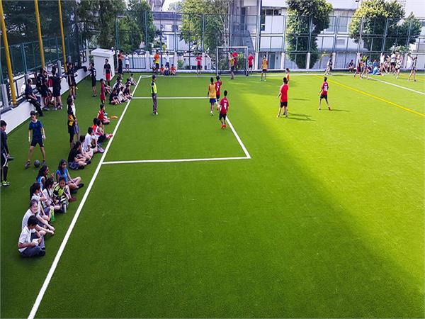 چمن مصنوعی مدارس