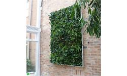 اجرای گرینوال مصنوعی