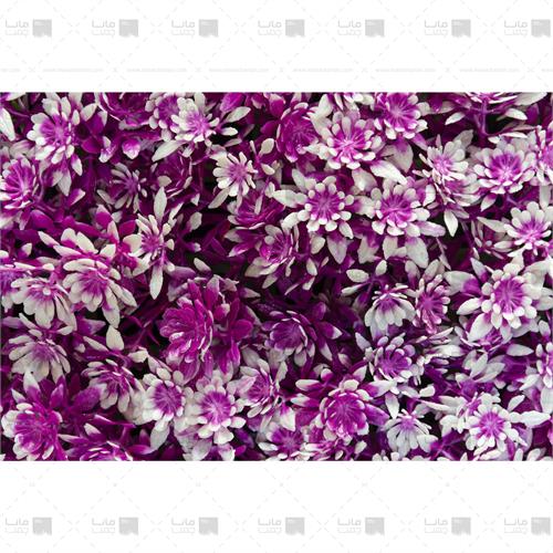 دیوار سبز مصنوعی مدل خورشیدی رنگ بنفش و سفید 2