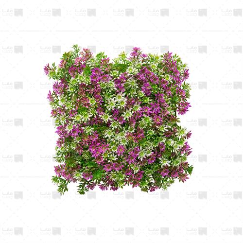 دیوار سبز خورشیدی رنگ سبز، سفید و بنفش